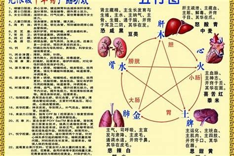 2014年出生|2014年出生的属什么,2014年是什么生肖